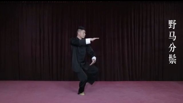 24式太极拳教学视频