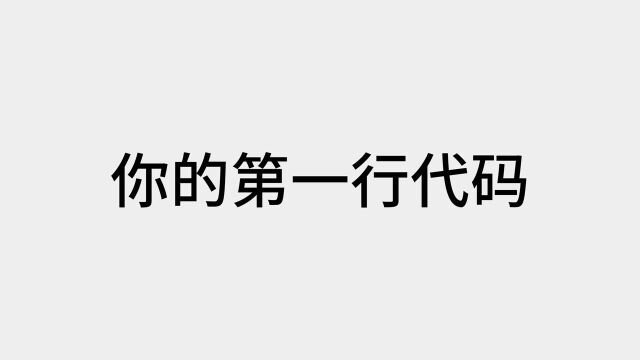 有手就会的第一行代码零基础入门【Re01】