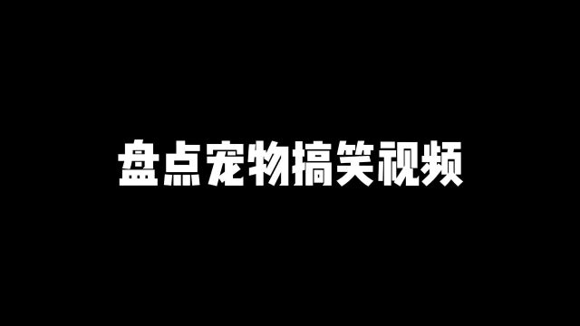 盘点宠物搞笑视频