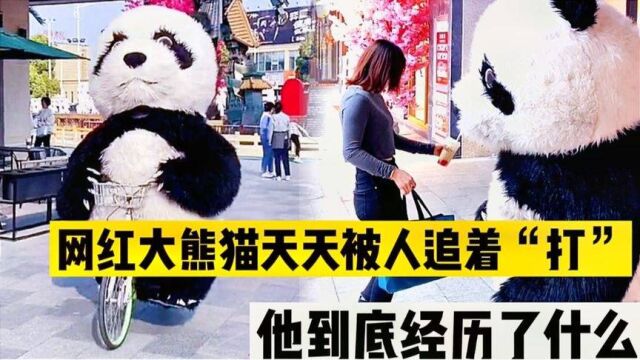 步伐妖娆网红大熊猫,见啥抢啥天天被人追着打,他到底怎么啦!