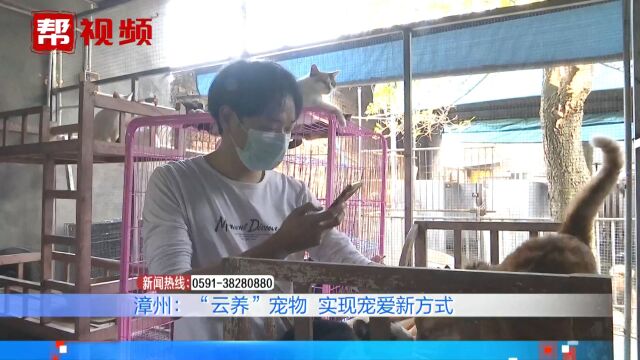 宠爱新方式!随时随地“云养”宠物还能做公益,市民:有爱又有趣