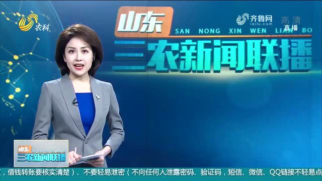 山东电视台点赞济阳区:精准纾难解困 保障企业正常生产