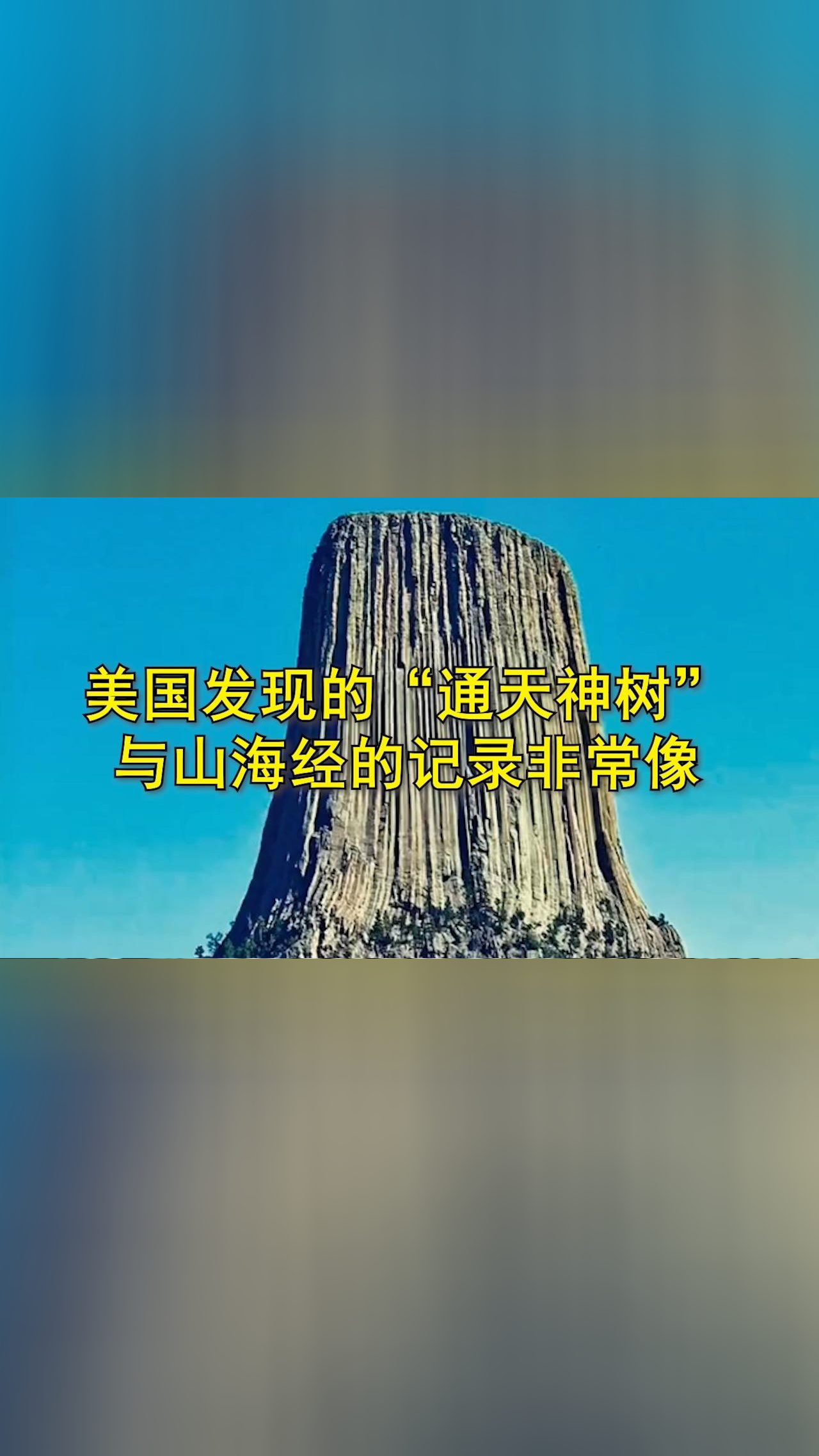 美国发现的"通天神树,与山海经的记录非常像