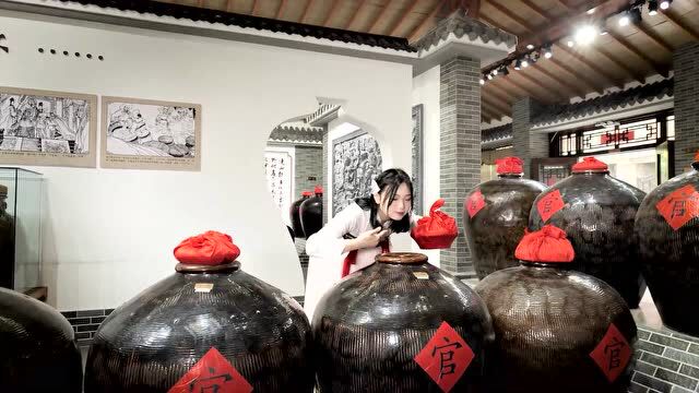 宋宫宴酒——汝州文旅地标宣传展播