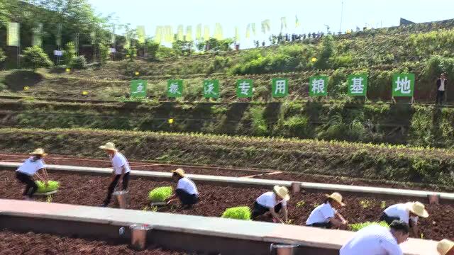 曾从钦:“十四五”期间,五粮液专用粮基地将扩至200万亩