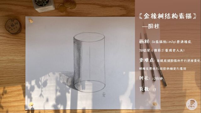 11.金橡树绘画结构素描《圆柱》