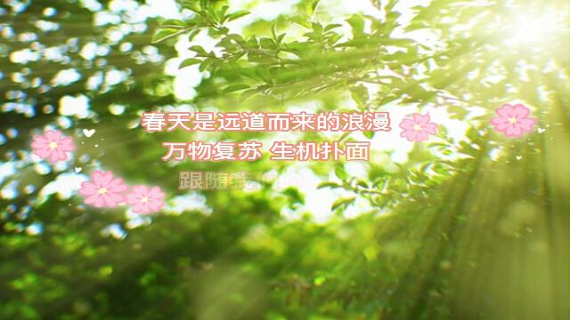 愉悦春光,定格美好摄影活动优秀作品欣赏