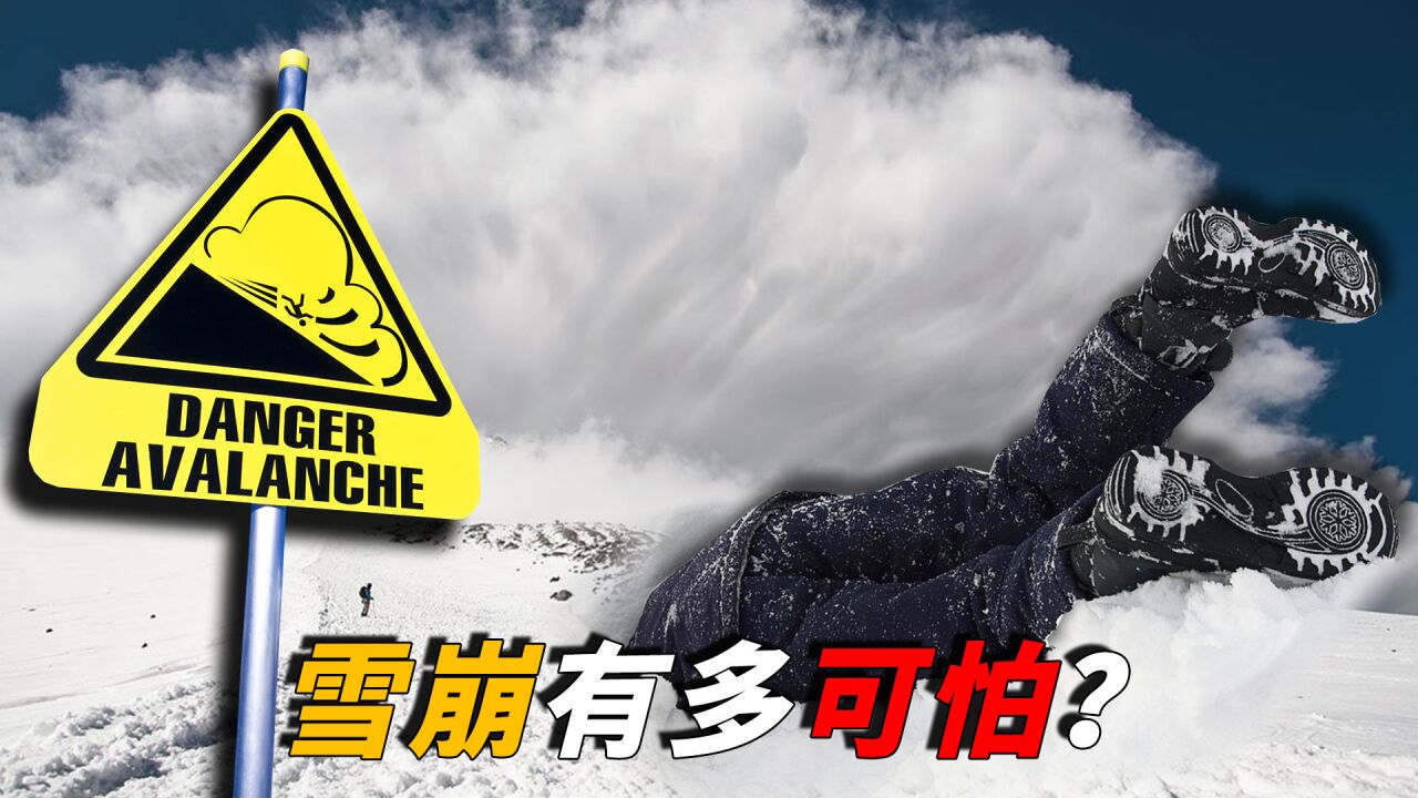 雪崩到底有多可怕?阿尔卑斯山大雪崩,仅3分钟摧毁半个村庄!