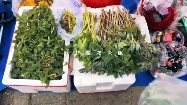 双鸭山风土人情—双鸭山山野菜上市了;注意!节后上班时间有变→