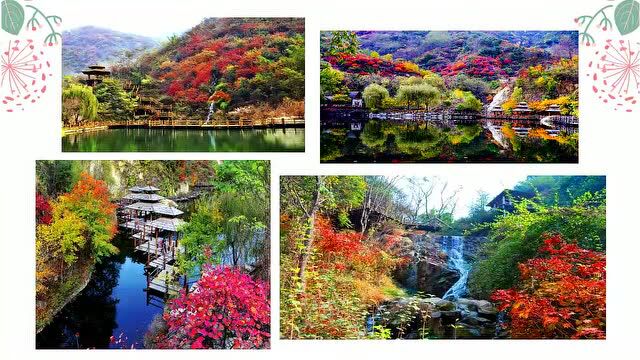 云上读书节——春日云上游(一)