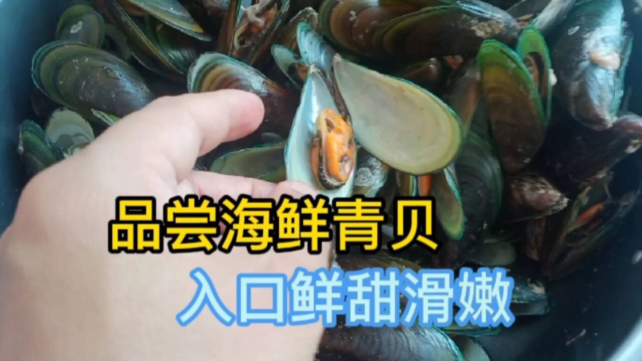 青贝是大海中比较常见的海鲜,深得大家的喜爱,入口鲜甜还滑嫩