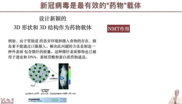 《NMT与3D生物学(04)》 新冠病毒:药物载体3D设计大师【许越博主】