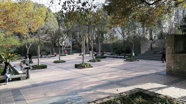 公园风景,春日风光摄影图