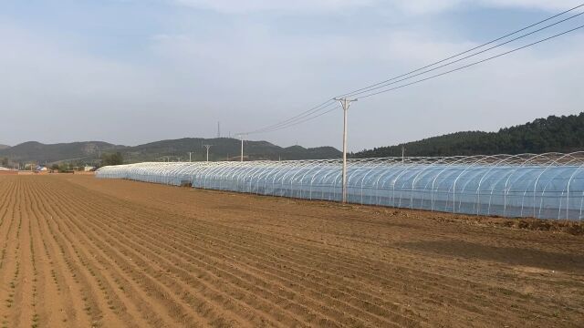 新种植基地建设中