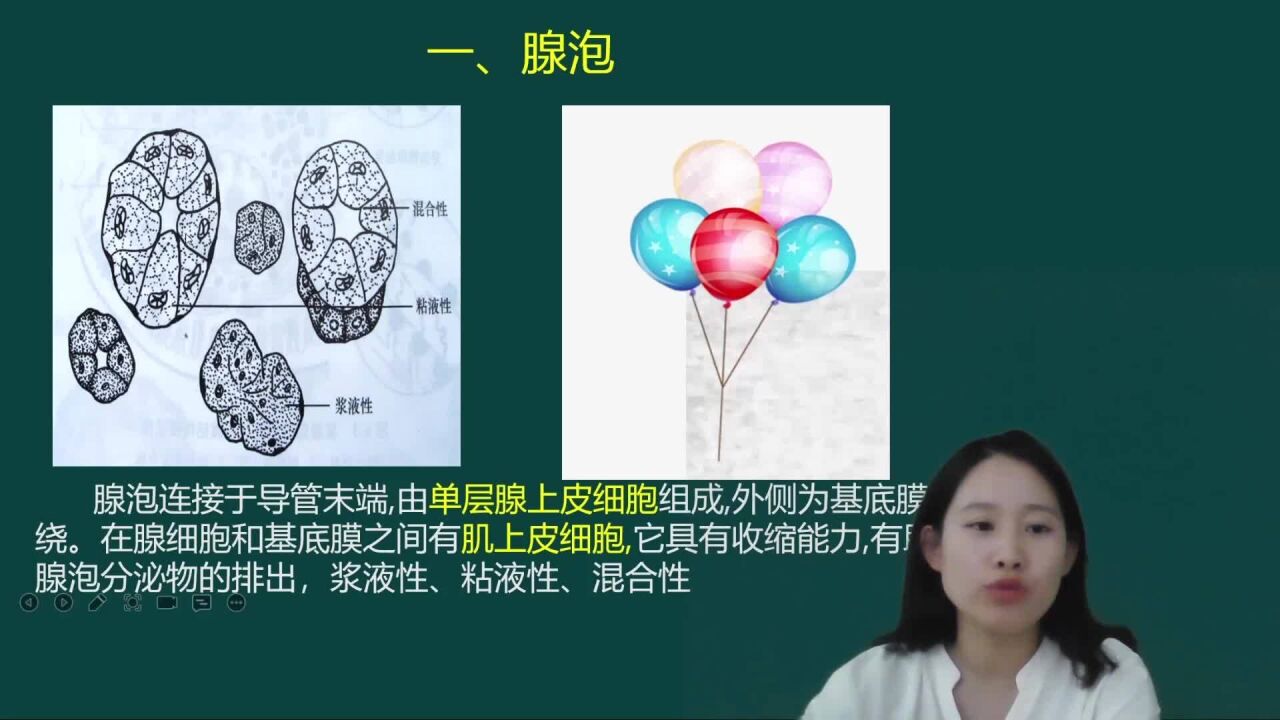 大树口腔学苑医考课程—腺泡