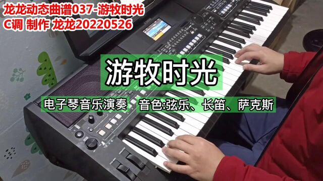 龙龙动态曲谱037游牧时光 C调 8电子琴示范