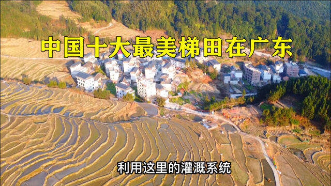 广东面积最大的地级市,相当于577个澳门,藏有全省最大的梯田