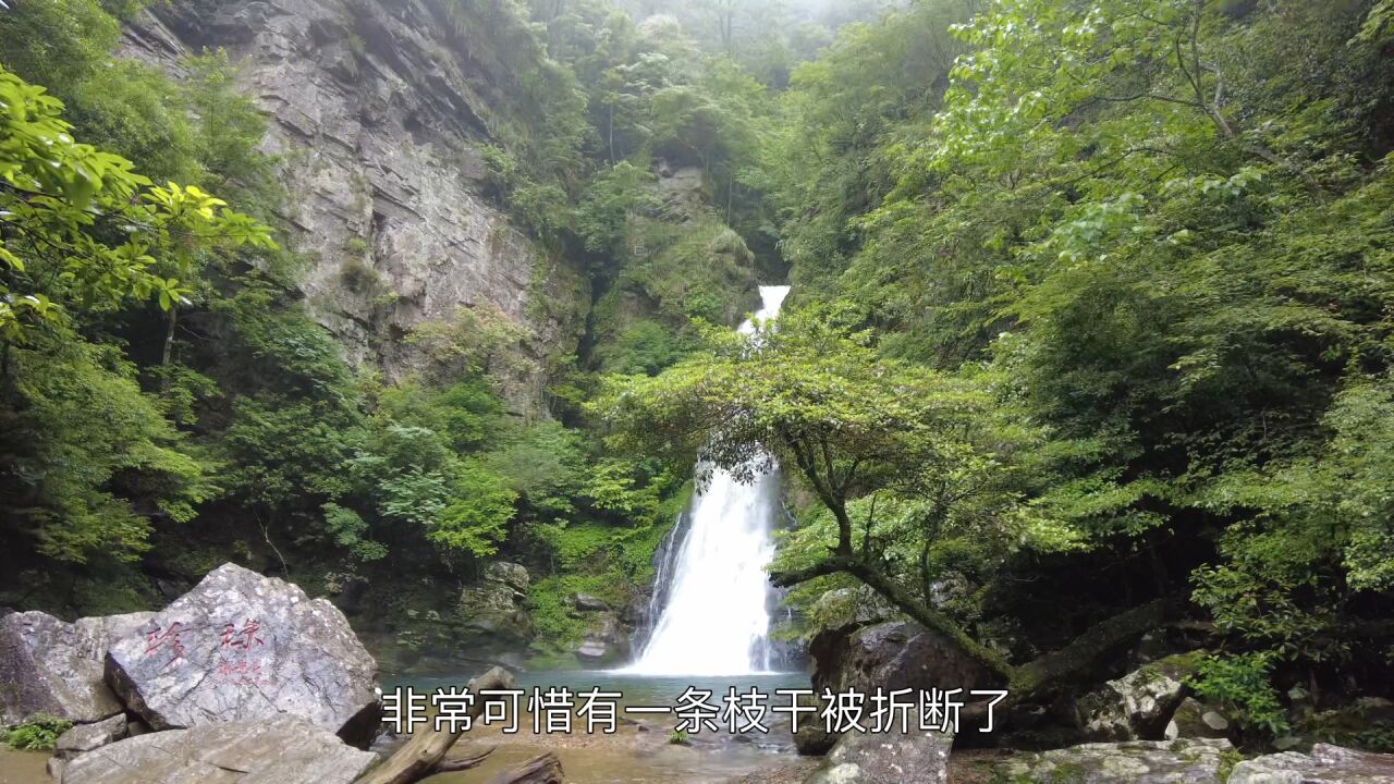 井冈山五潭十八瀑,风景美如画,人在画中游