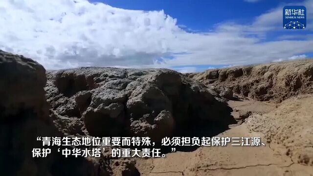 三维地图新闻|万里长江无限情