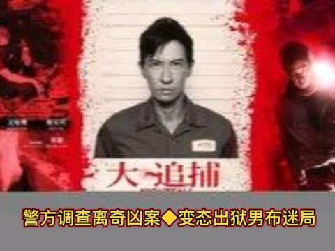 悬疑侦破片【大追捕】