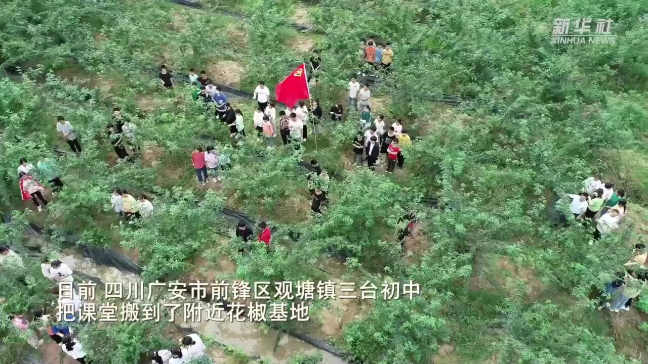 四川前锋:实践增才干 劳动赋成长