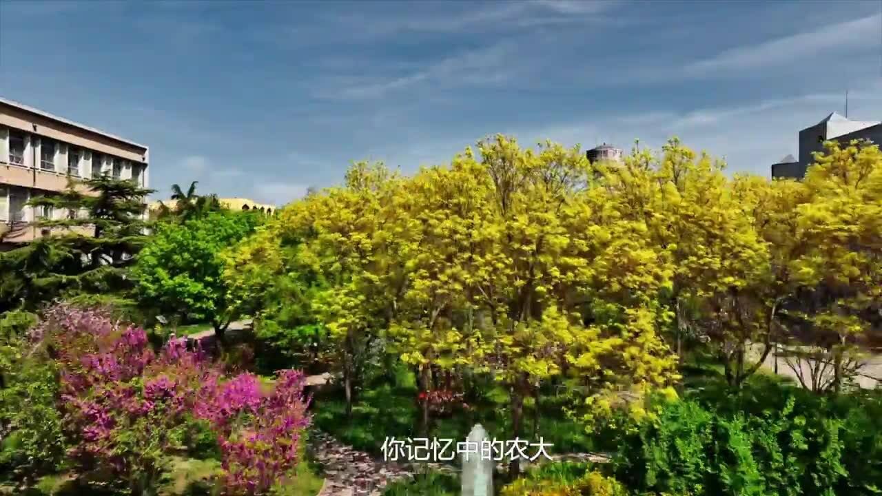 河北农业大学120周年校庆倒计时120天宣传片震撼首发!