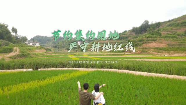 音小见大土地日特辑 | 沃壤千里 保护从此刻做起