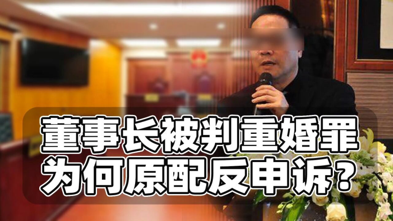 董事长被判重婚,原配为何申诉?