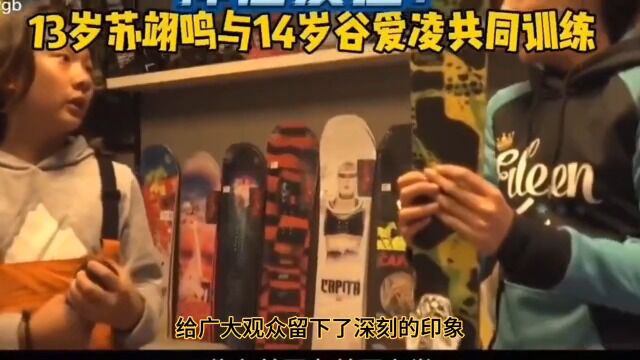 冬奥双子谷爱凌苏翊鸣展现的文化素养背后的意义运动健身文化素养谷爱凌苏翊鸣冰雪2022