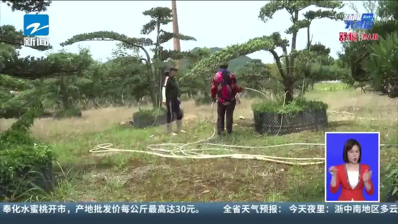 烈日下的身影 高温下园林绿化工人:用汗水浇灌城市绿荫