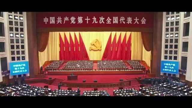 深圳宝安:“五位一体” 绘就乡村振兴新图景