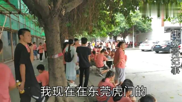 广东东莞:这是东莞最不挑剔的工厂,是个人就要,50多岁的大爷大妈也招