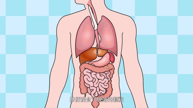 不粘锅涂层破损后还能继续用吗?【北京市疾病预防控制中心】