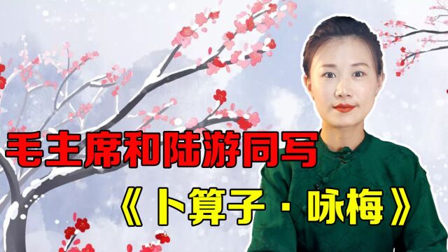 毛主席和陆游同写《卜算子ⷥ’梅》,其境界不可同日而语