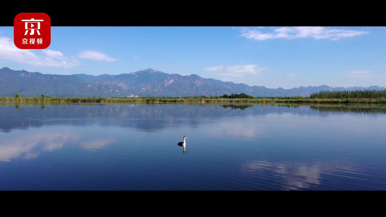 绿水青山就是金山银山!一起走进北京自然保护区