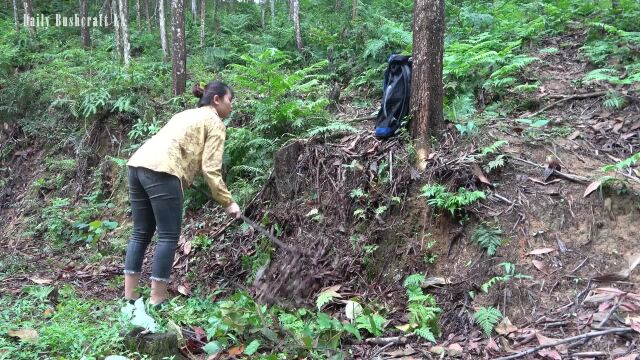 用木头搭建生存庇护所,野外营地每天生活在野外