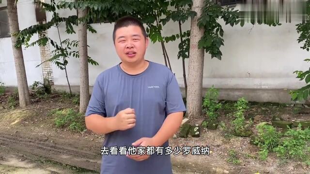 狗市:世界第一防暴犬罗威纳犬,张着血盆大口跳起一米多高,确实挺吓人