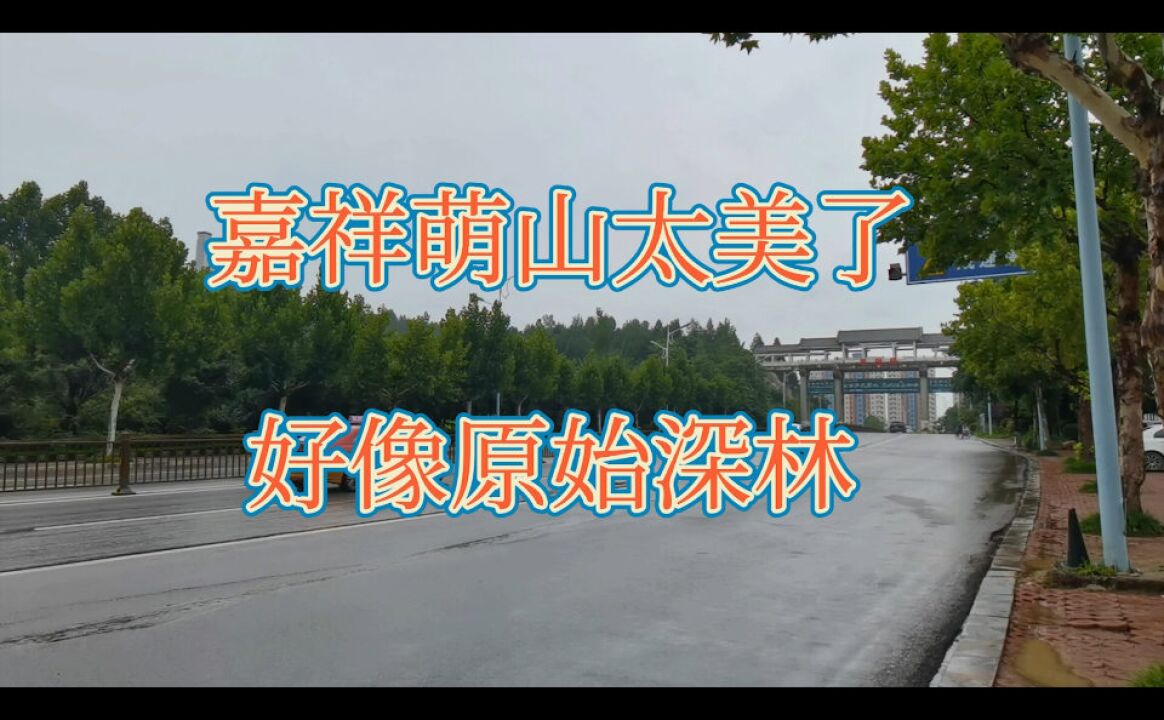 雨后的嘉祥萌山,青年世纪园太美了,好像走进了原始森林