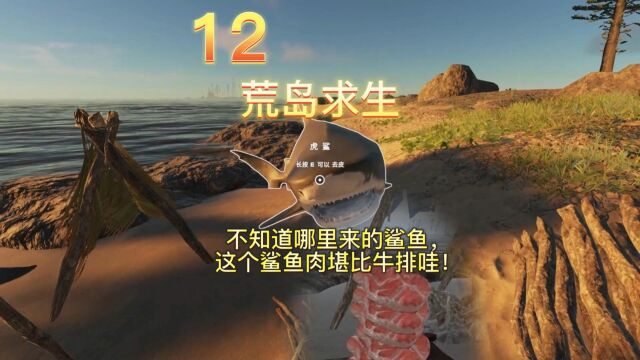 荒岛求生:12床的旁边不知怎么来的鲨鱼深海搁浅英文名Stranded deep