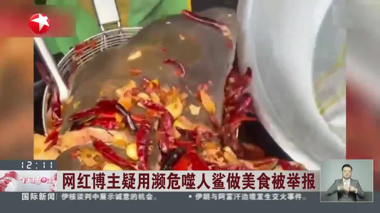 网红博主疑用濒危噬人鲨做美食被举报