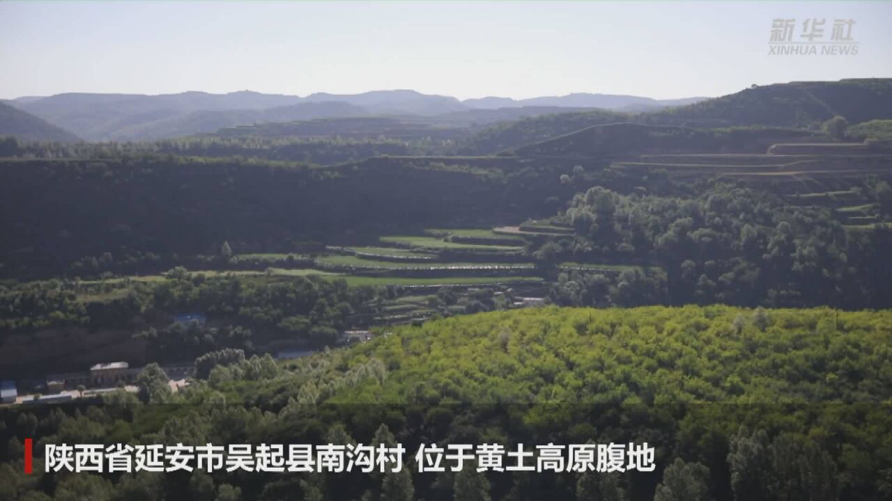 新华全媒+|陕北小村的蜕变之路:从满眼黄土到山清水秀