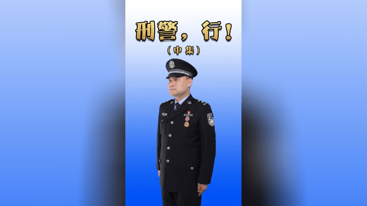 刑警,行!!(中集)