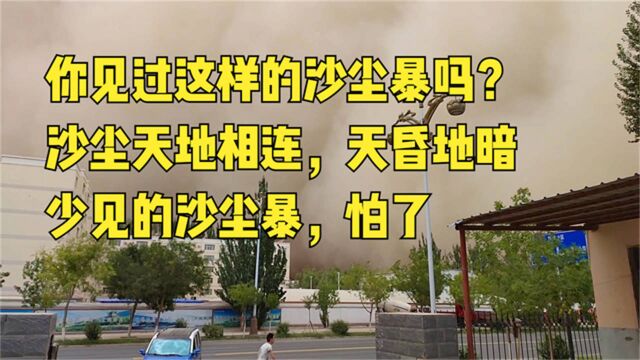 你见过这样的沙尘暴吗?沙尘来势有多凶猛?瞬间天昏地暗,少见