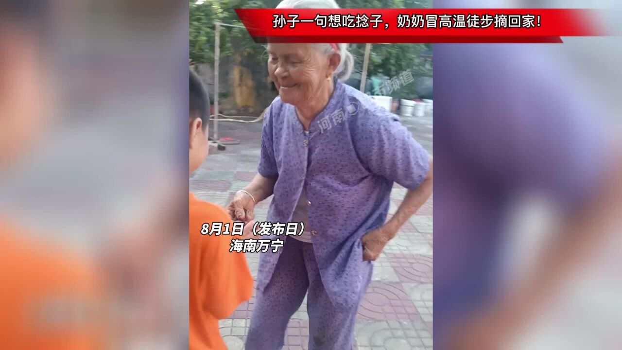 孙子一句想吃捻子,奶奶冒高温徒步摘回家!你知道啥是捻子吗?