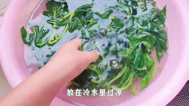 3分钟做一道野菜,吃起来像茼蒿菜,家乡人都叫它野芝麻你见过吗