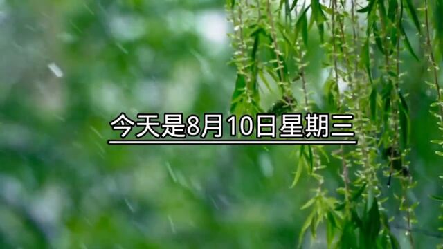 今天是8月10日星期三(雅牙)文案馆,祝大家生活愉快!我们都是时间的过客,要在有限的时间里活得精彩.