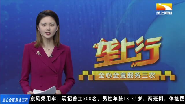 麻城这种“神奇的水稻”被电视台报道了,快来看看!