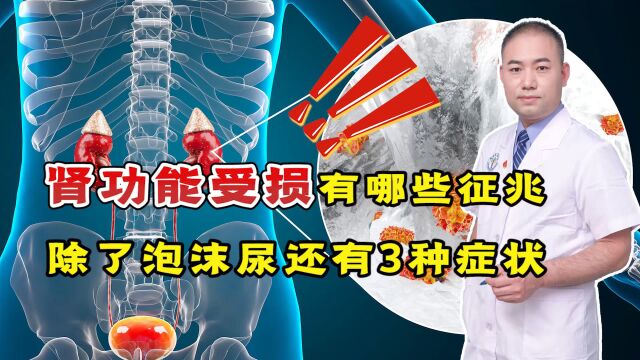 泡沫尿是因为肾脏受损?提醒:这3种异常同样需要警惕,别忽视