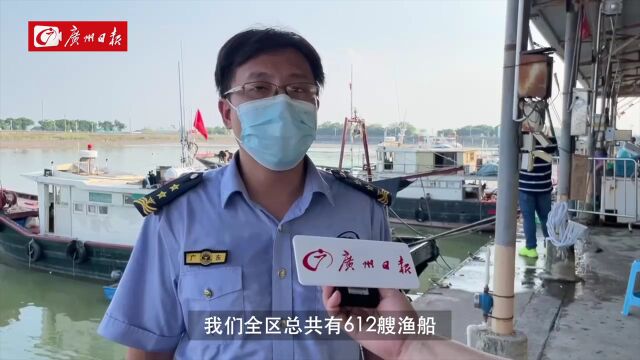 视频 | 现场直击台风前的广州渔港:渔船回港避风