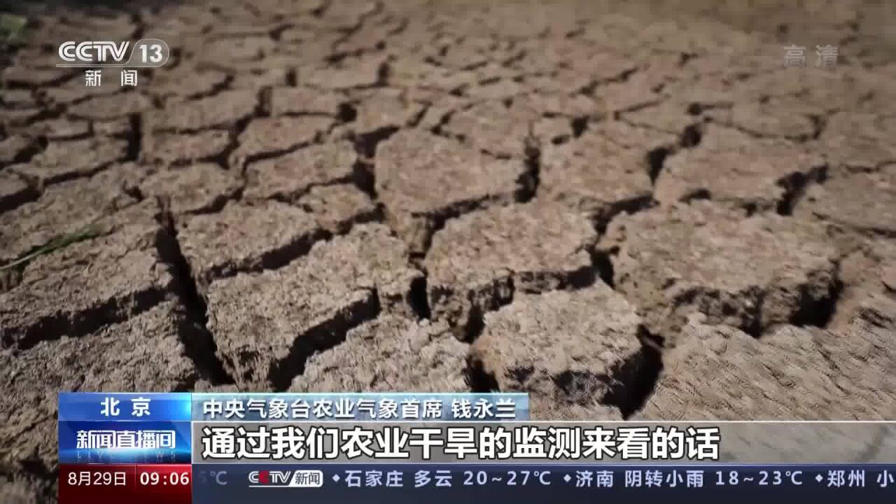 专家解读 高温少雨天气趋于结束 部分地区墒情改善